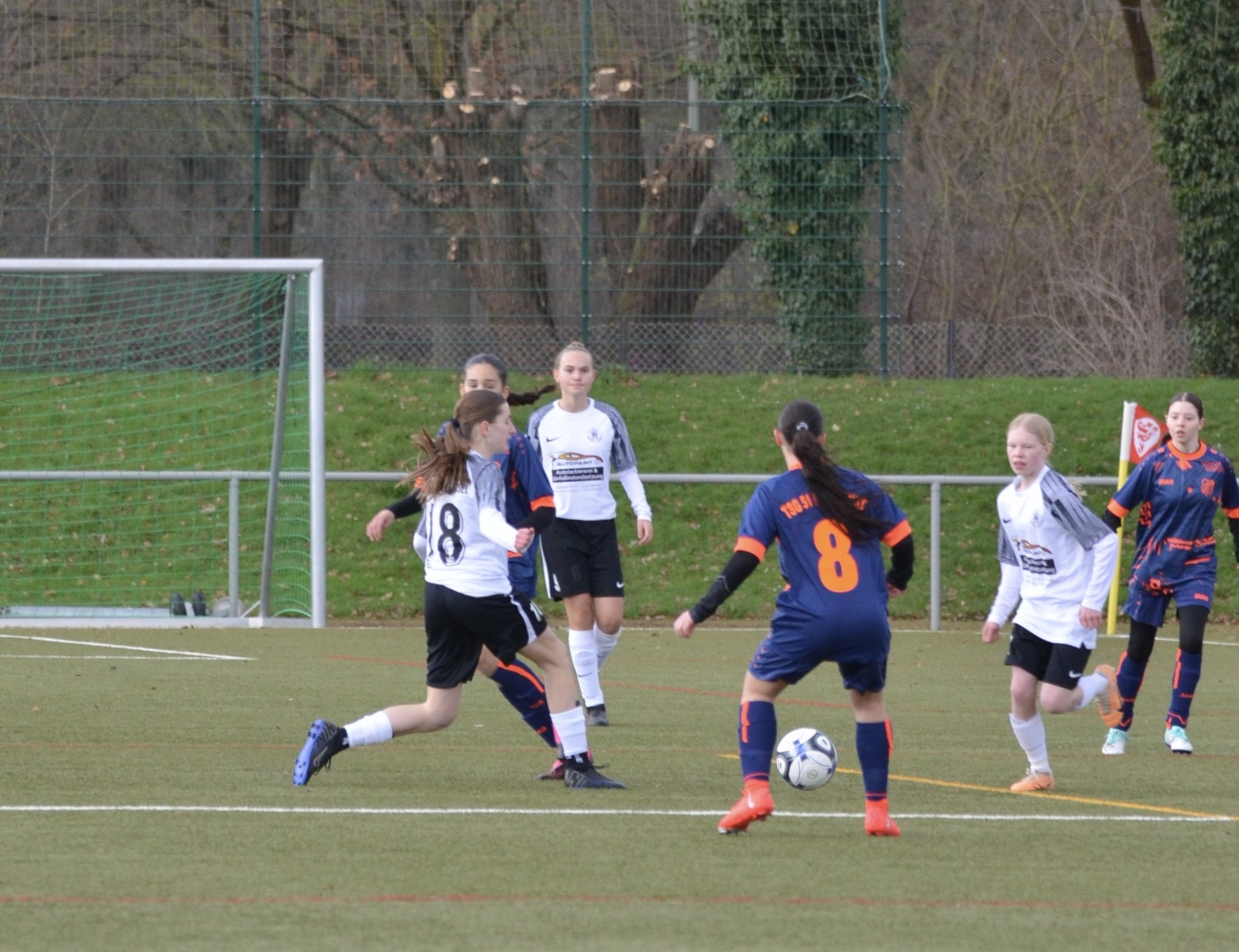 KSV Hessen Kassel - TSG Frankfurt