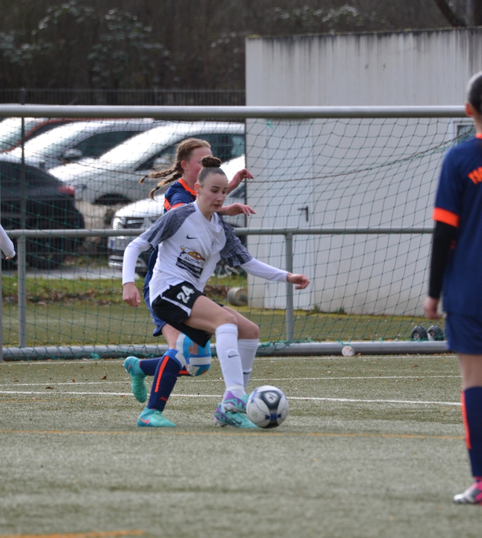 KSV Hessen Kassel - TSG Frankfurt