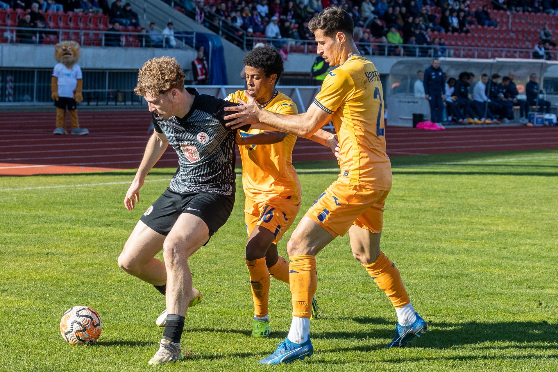 KSV Hessen Kassel - TSG 1899 Hoffenheim II