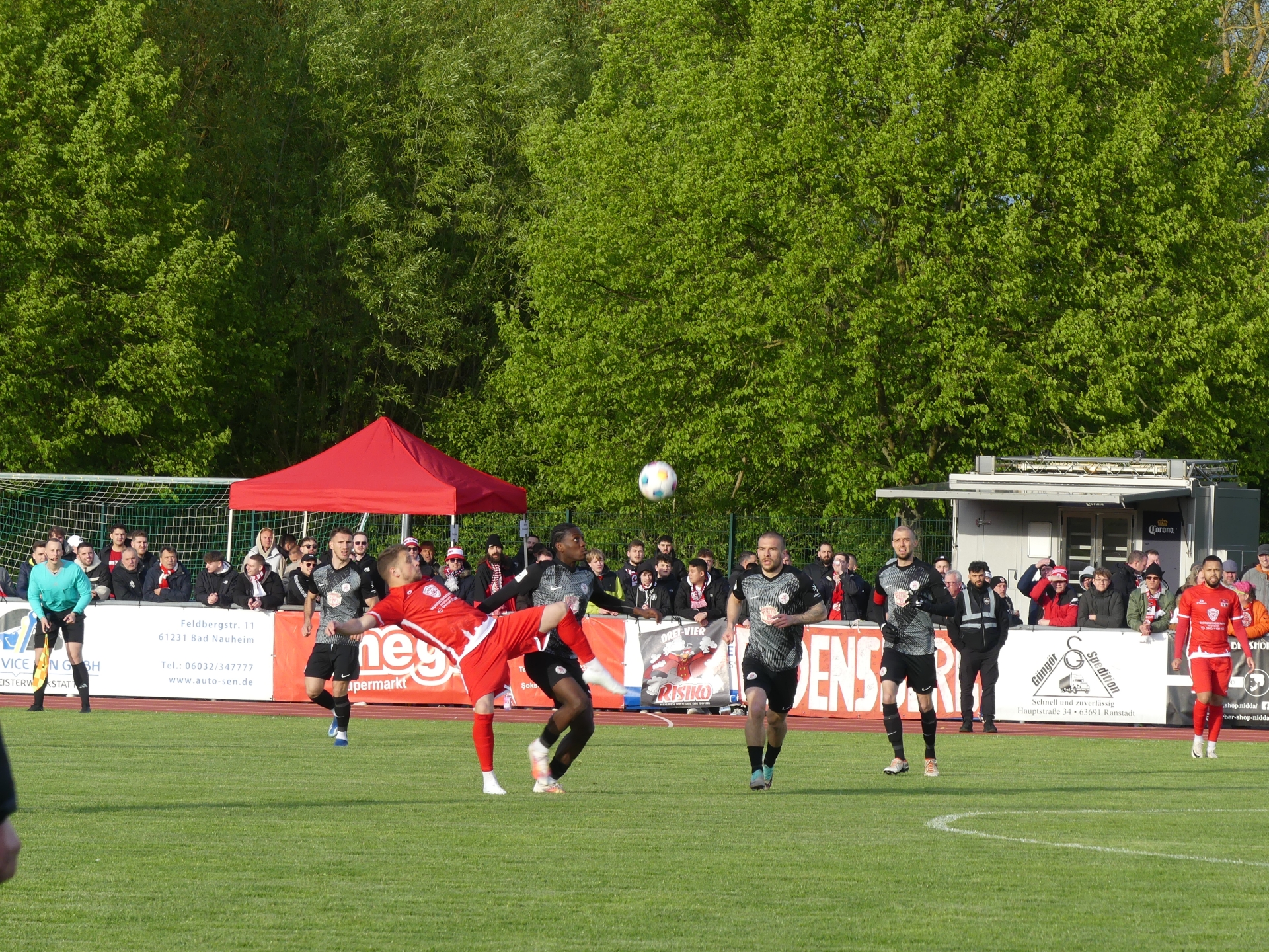 Löwen verlieren Halbfinale im Hessenpokal