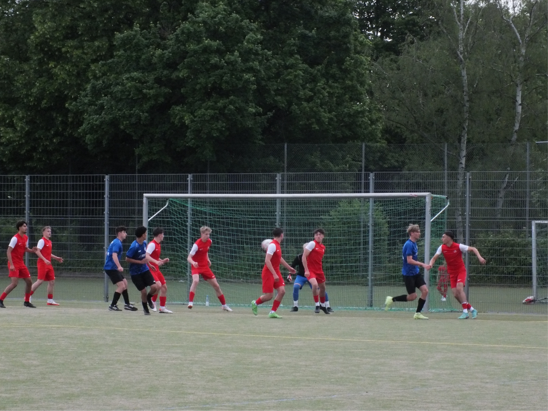 FV Biebrich - U19