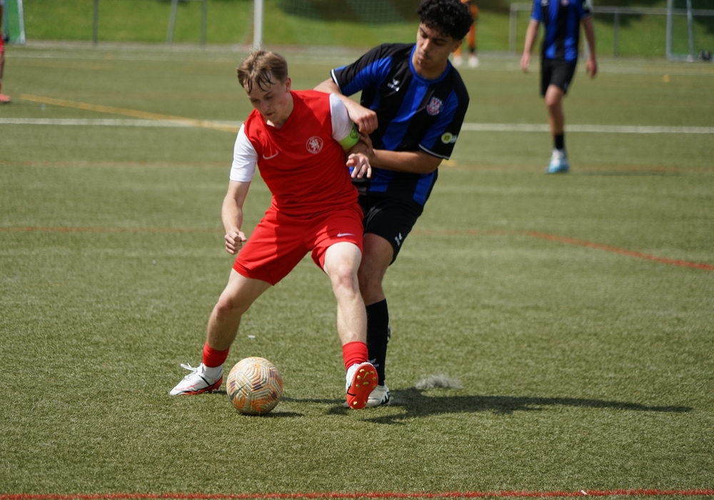 U19 - FSV Frankfurt