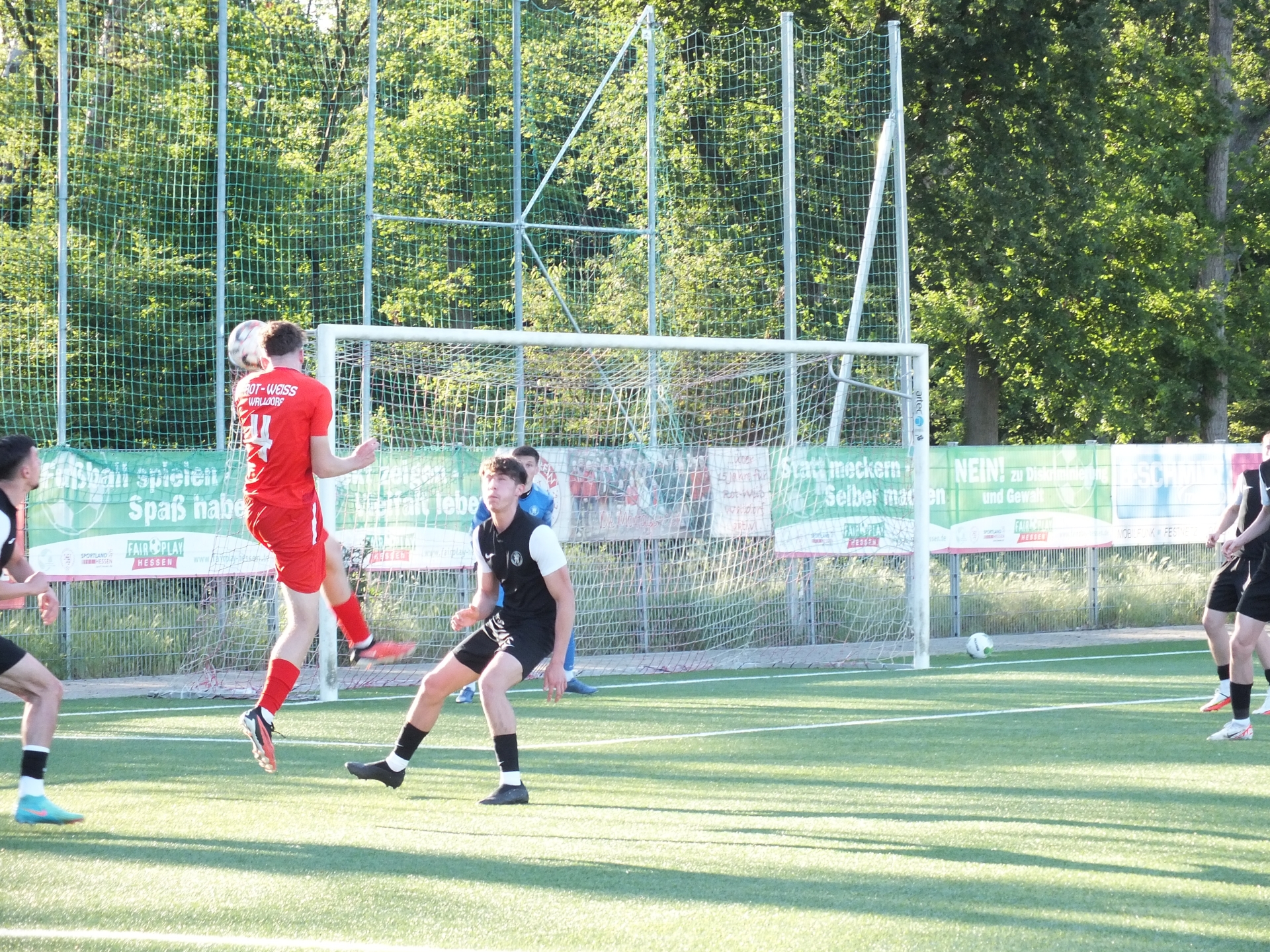 Rot Weiss Walldorf - U19