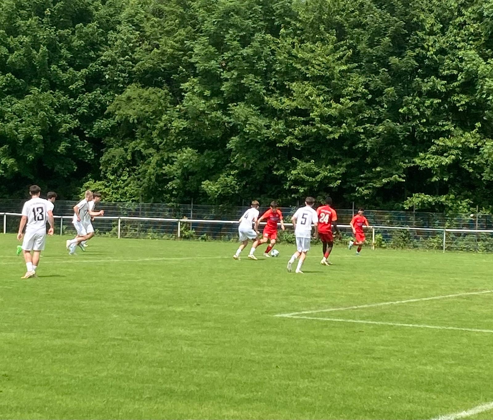 U15 - 1. FC TSG Königstein