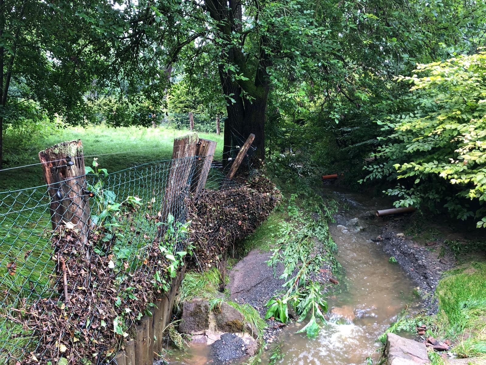 Tierpark