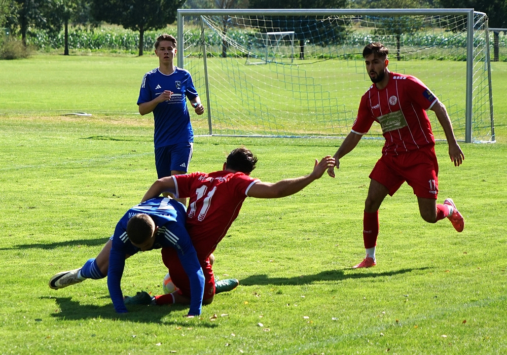 TSV Wabern - U23
