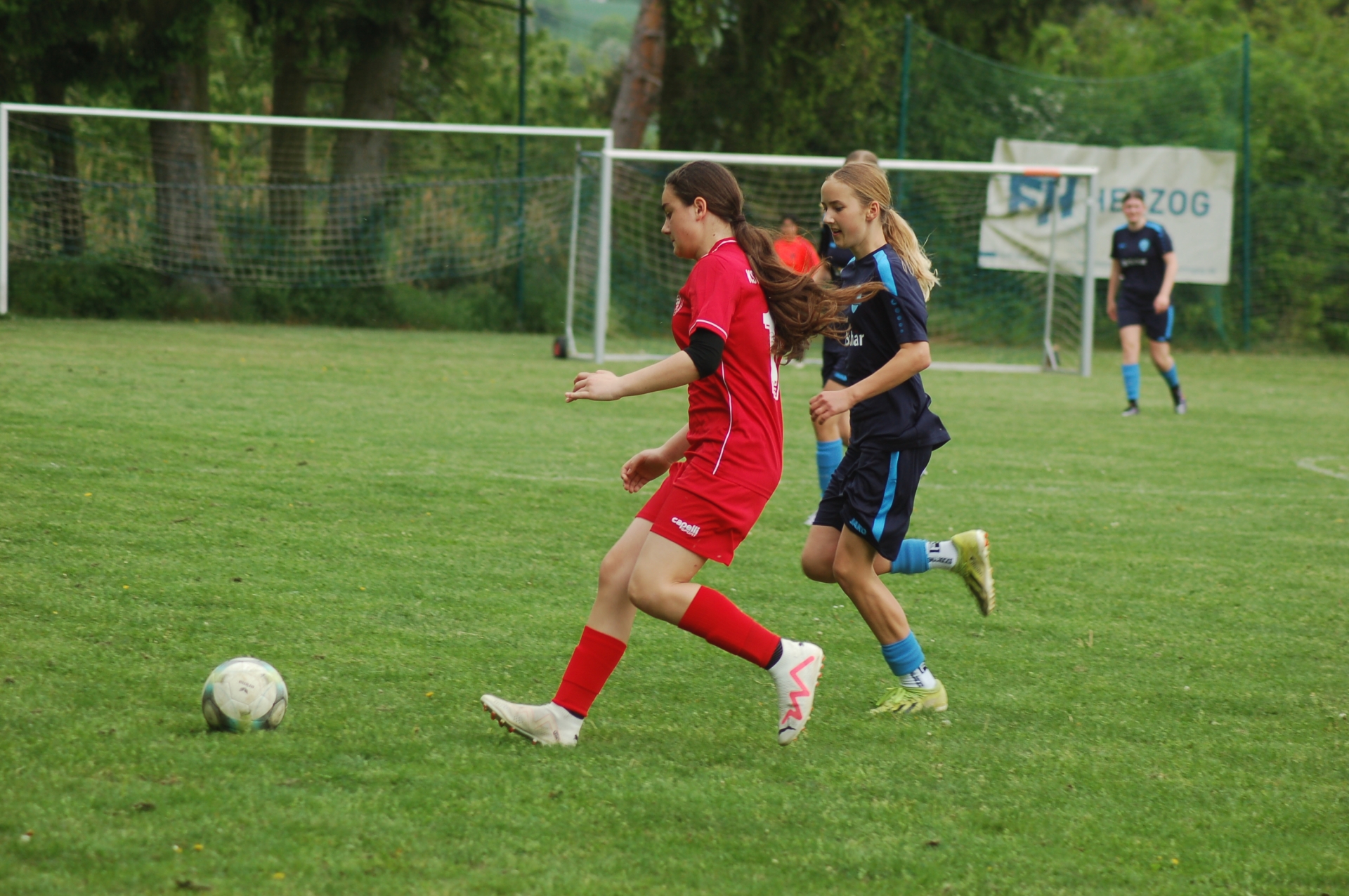 JFV Ebsdorfergrund - KSV Hessen Kassel 