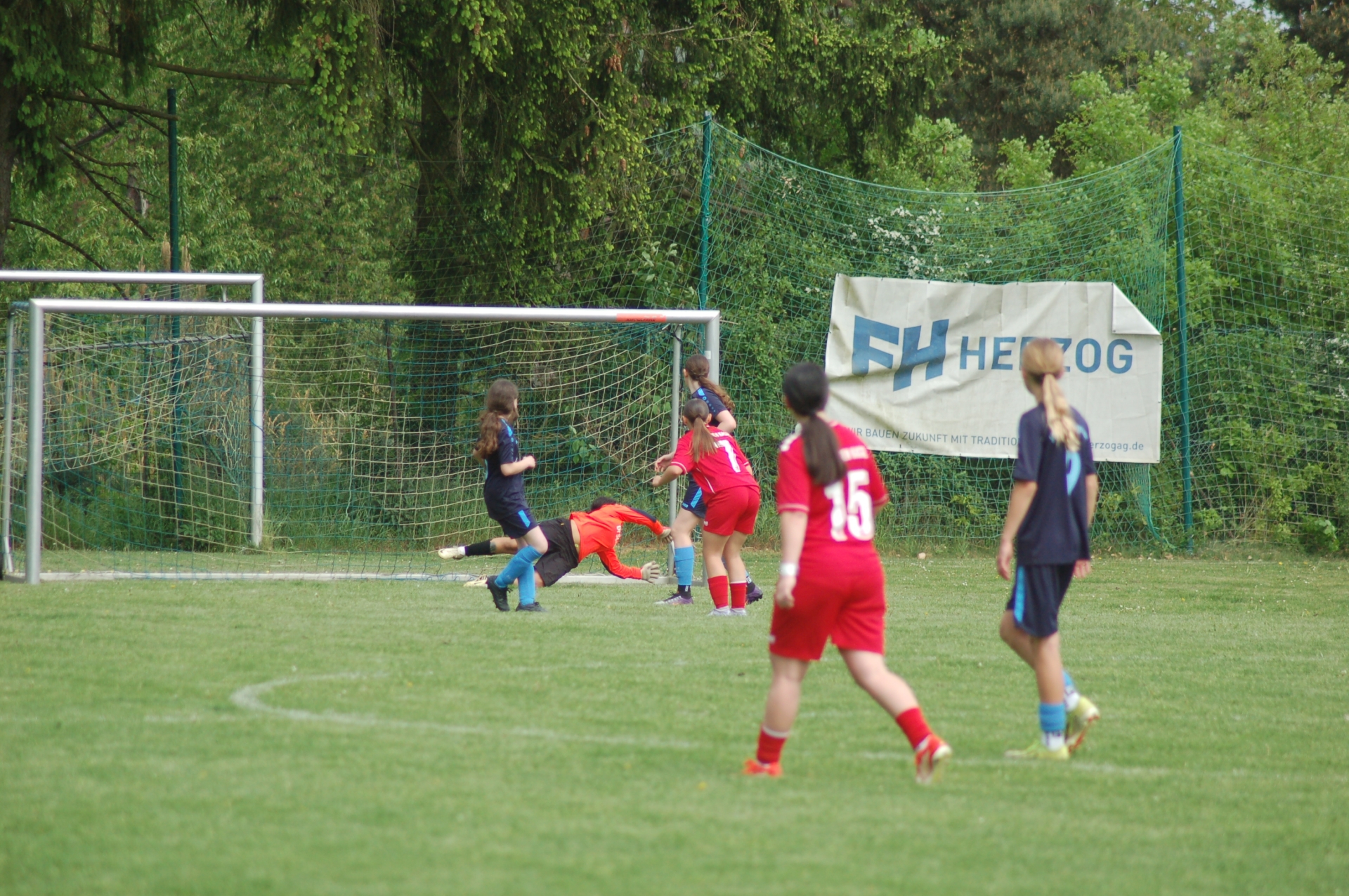 JFV Ebsdorfergrund - KSV Hessen Kassel 