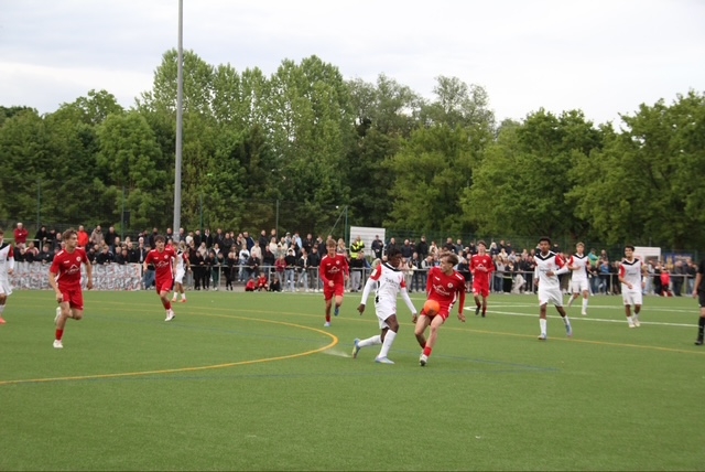 U19 - Eintracht Frankfurt