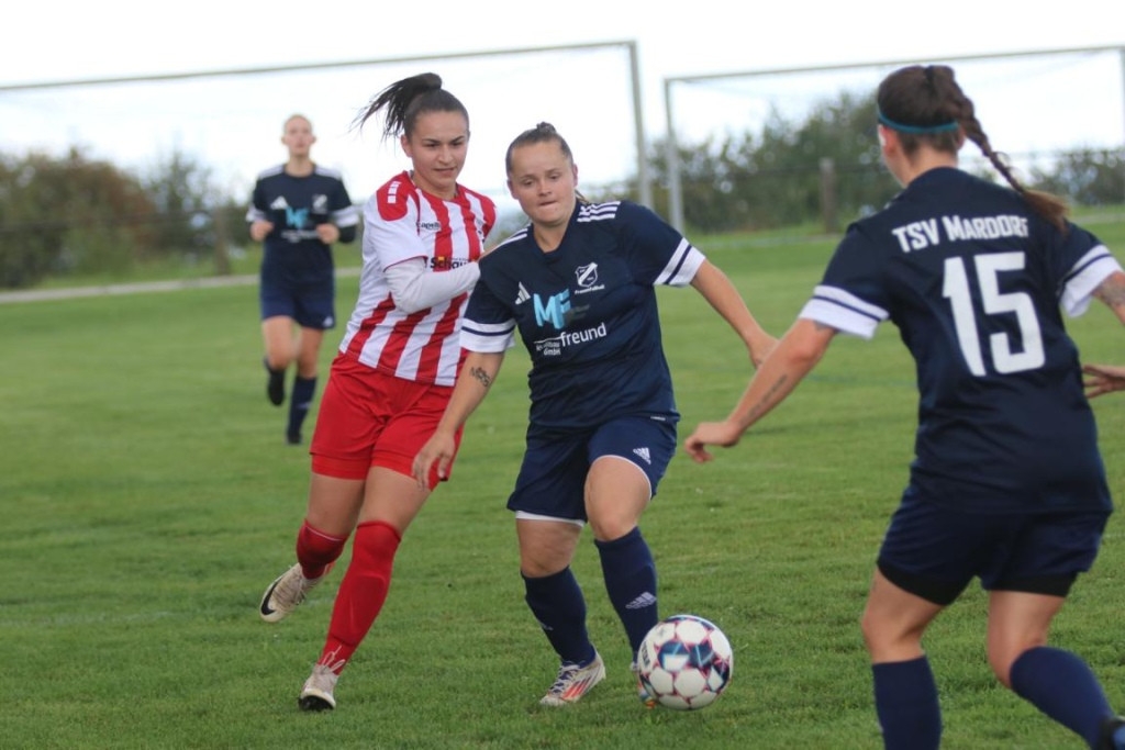 TSV Mardorf - KSV Hessen Kassel III