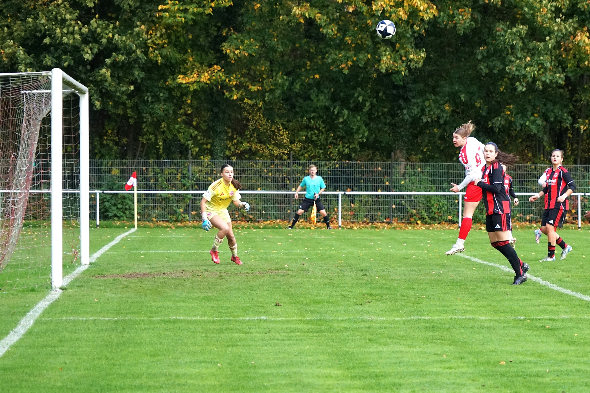 KSV Hessen Kassel - Eintracht Frankfurt U19
