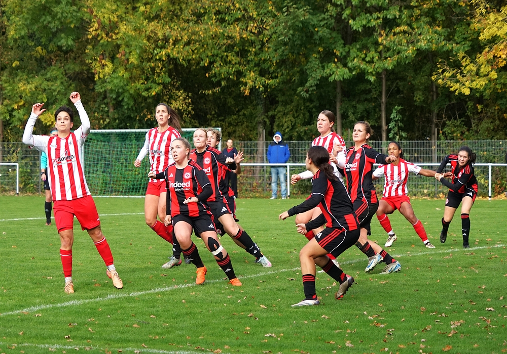 1. Frauen - Eintracht Frankfurt U19