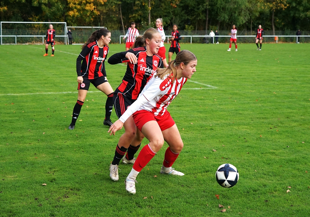 1. Frauen - Eintracht Frankfurt U19