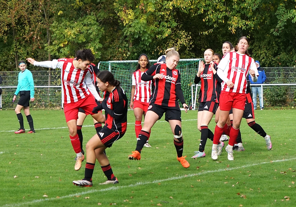 1. Frauen - Eintracht Frankfurt U19