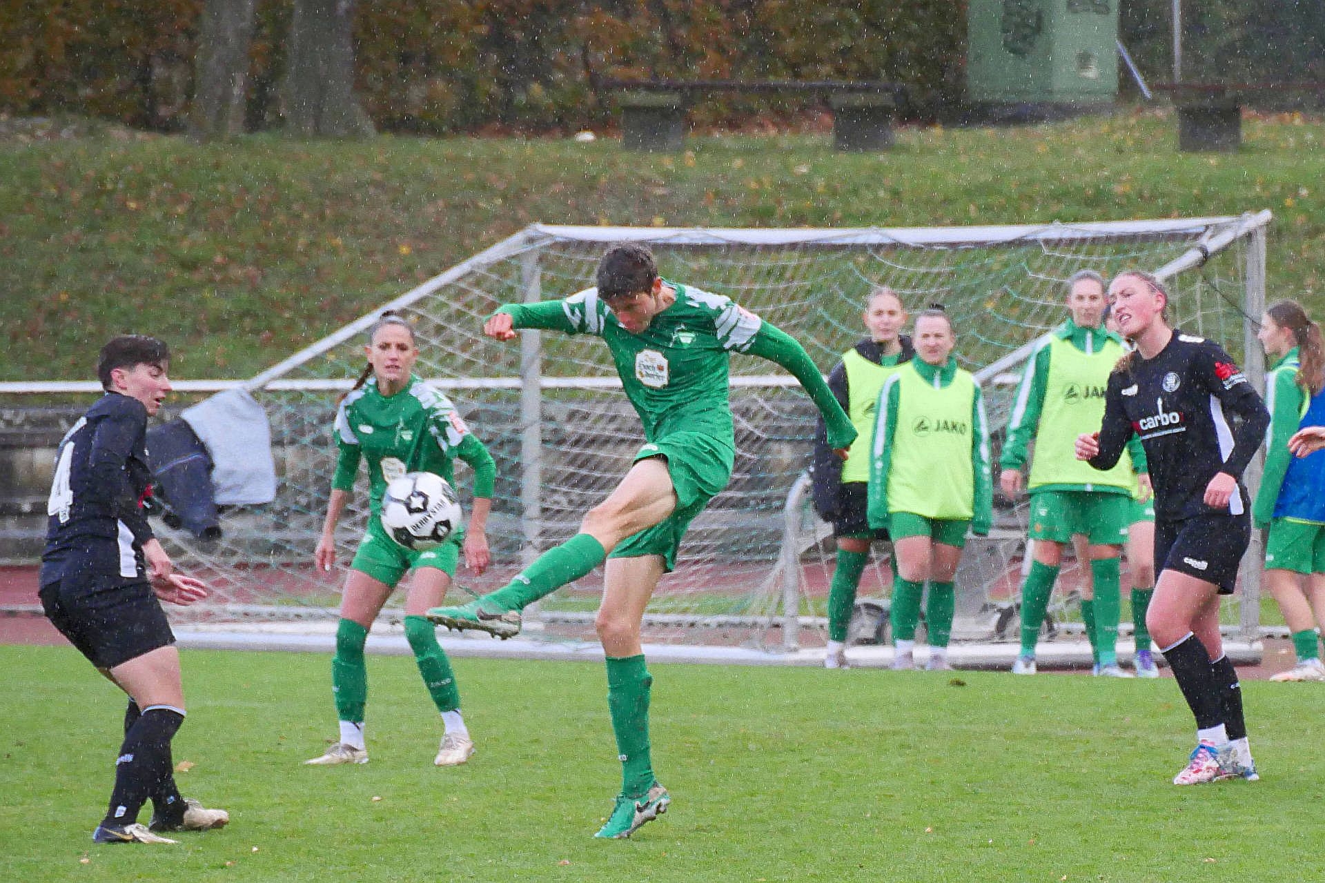 VfL Herrenberg - KSV Hessen Kassel