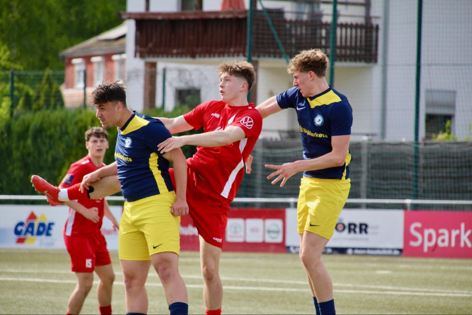 SF/​BG Marburg - U19