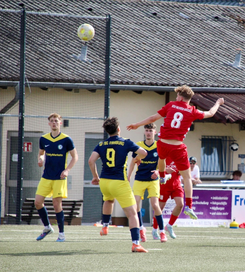 SF/​BG Marburg - U19