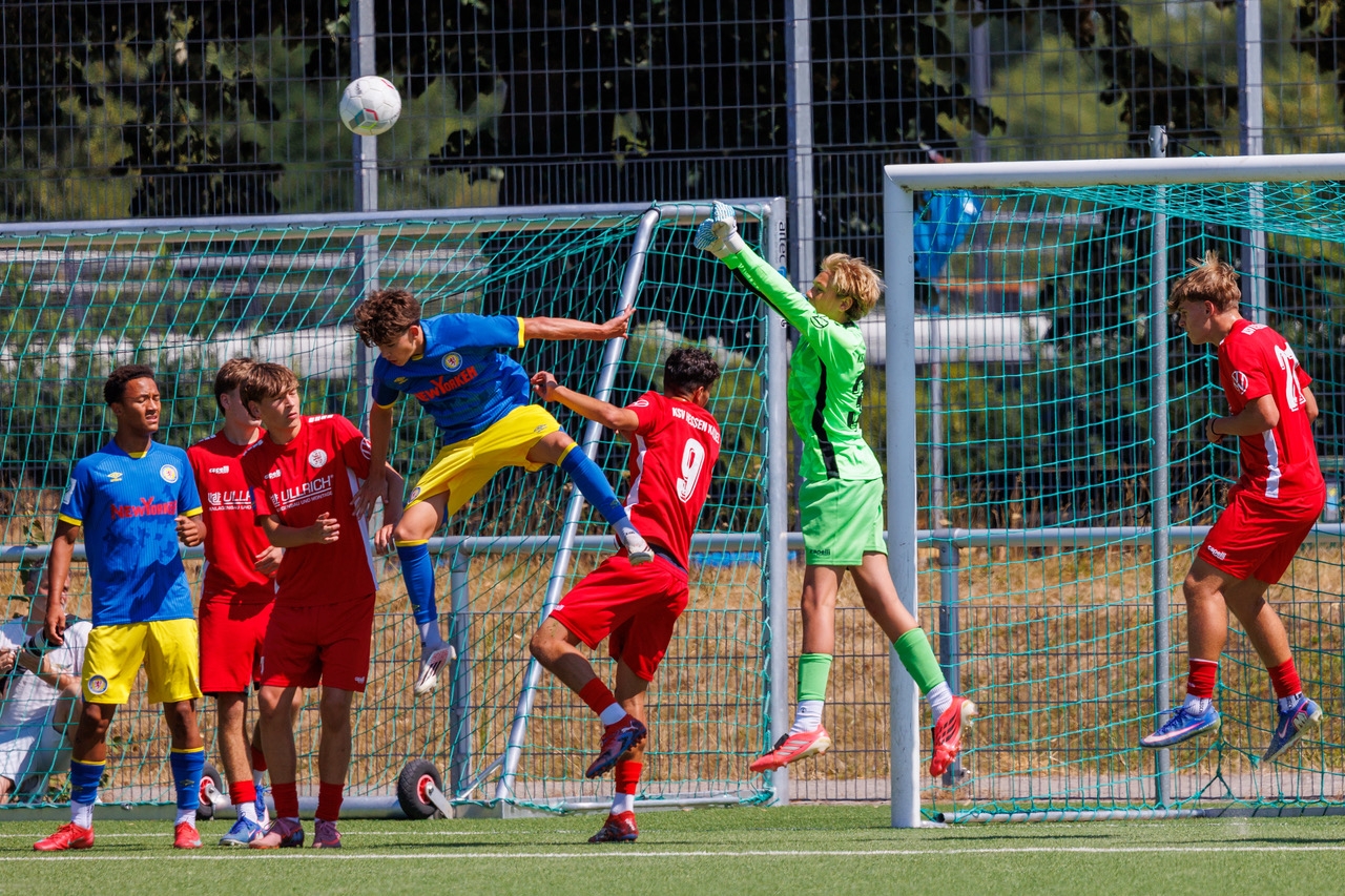 U17 Leistungsvergleich Braunschweig & Halleschen FC