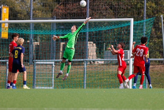 U17 - SF/​BG Marburg