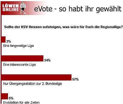 E-Vote Februar03